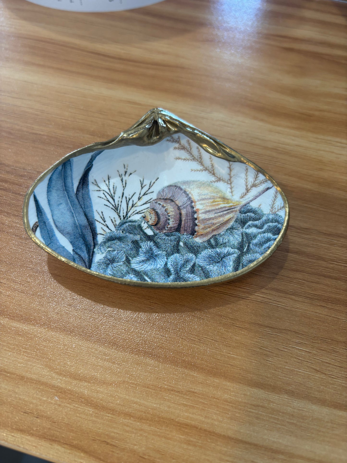 Shell Art Coral and Shell