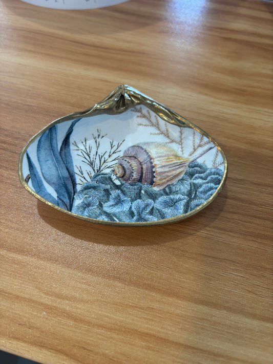 Shell Art Coral and Shell