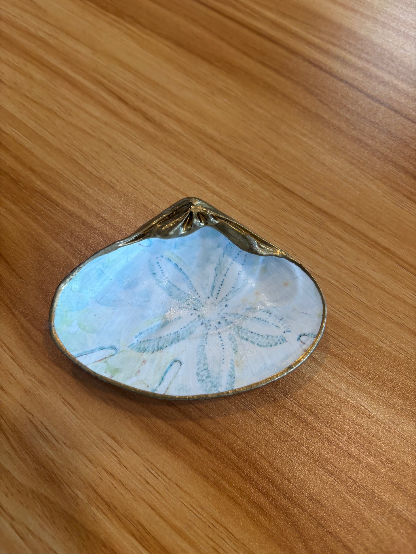 Shell Art Sand dollar