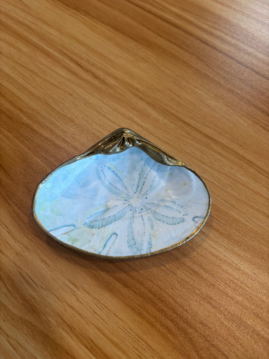 Shell Art Sand dollar