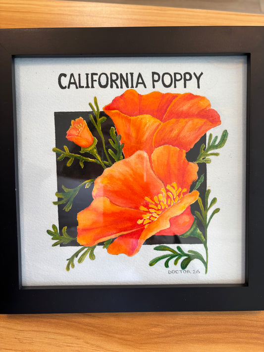 California Poppy Original Watercolor by Mert Doctor