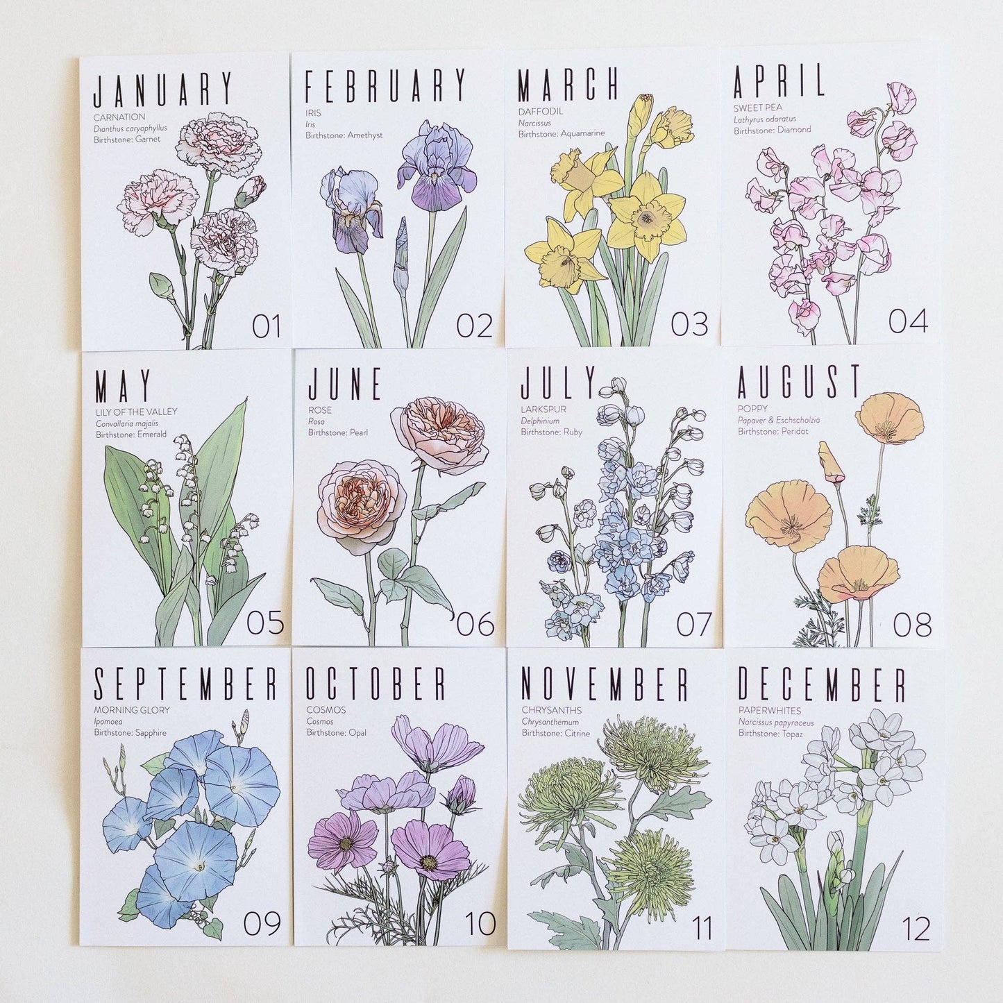 Wildflora: Floral Birth Month Birthday Card