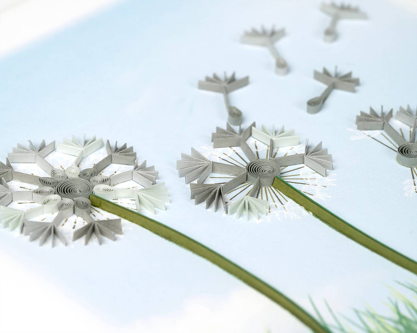 Dandelions