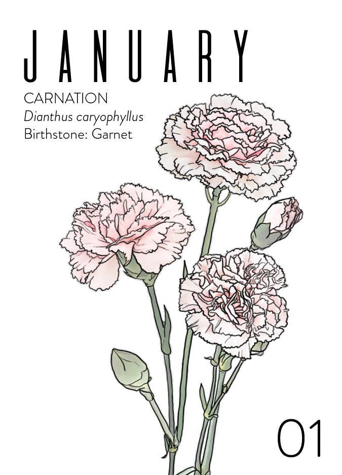 Wildflora: Floral Birth Month Birthday Card