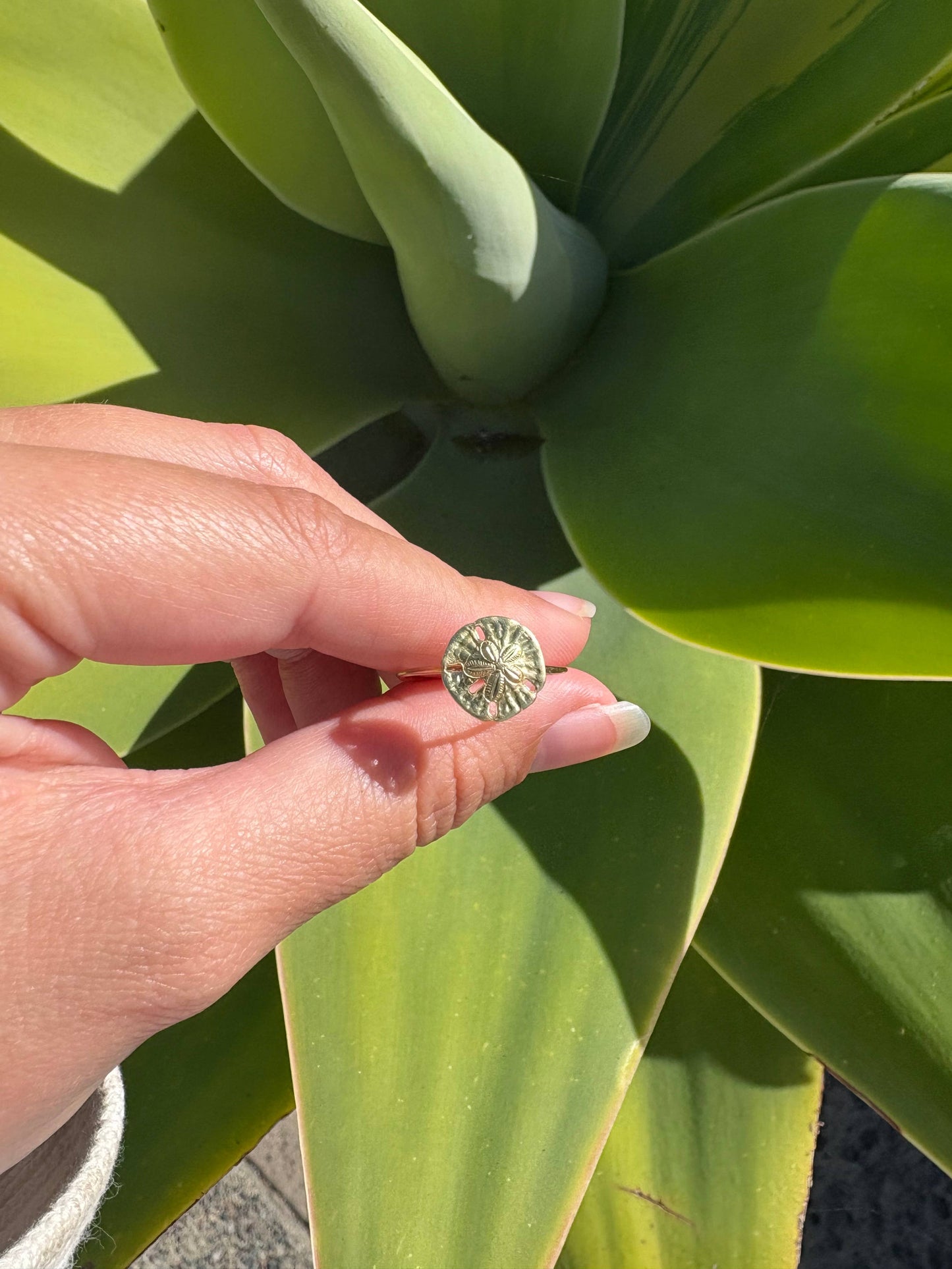 Sand Dollar Ring