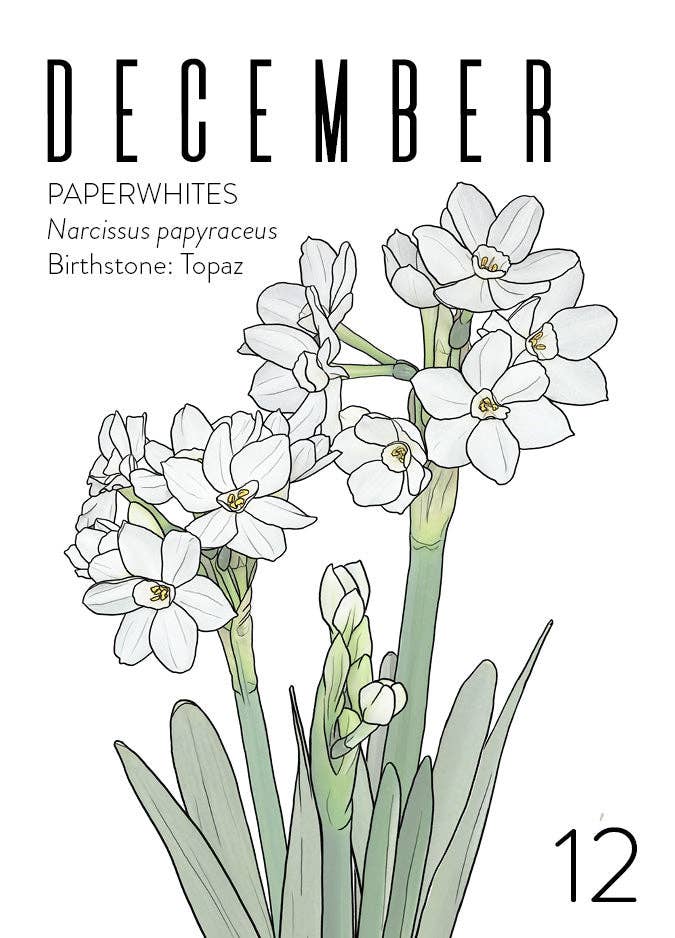 Wildflora: Floral Birth Month Birthday Card