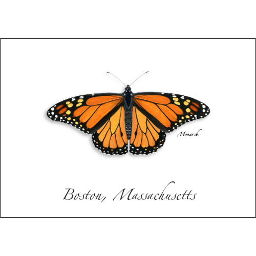 Monarch