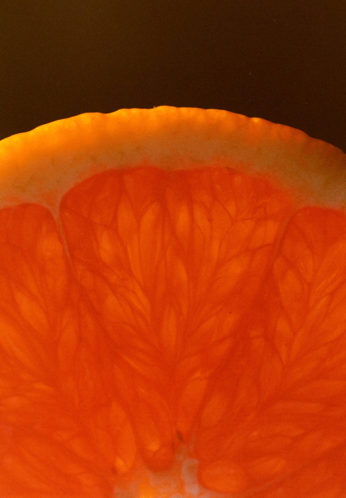 Cara Cara & Hibiscus Marmalade - 5oz