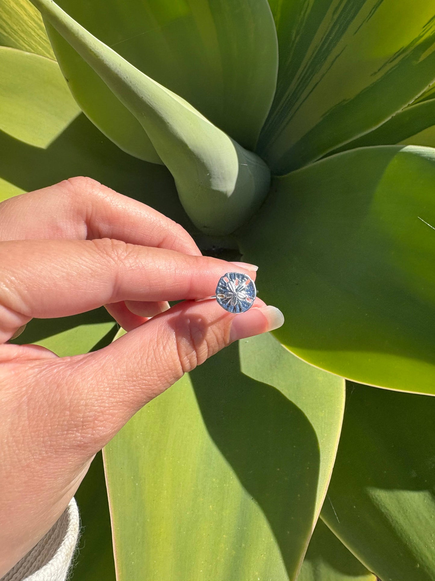 Sand Dollar Ring