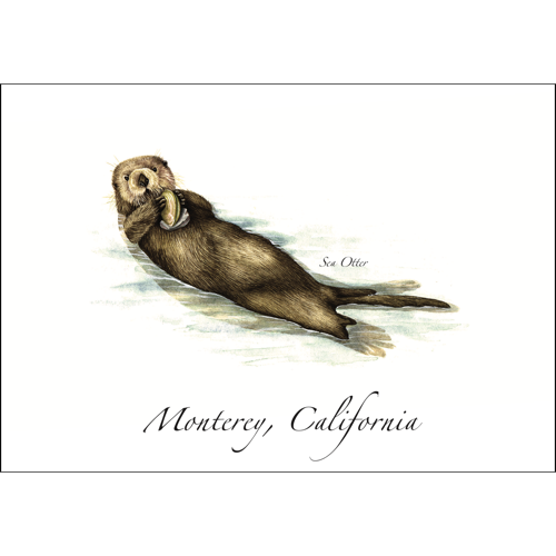 Sea Otter Everyday Greeting Card, Recycled Material