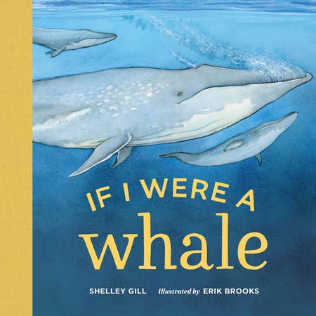 If I Were A Whale - Boardbook