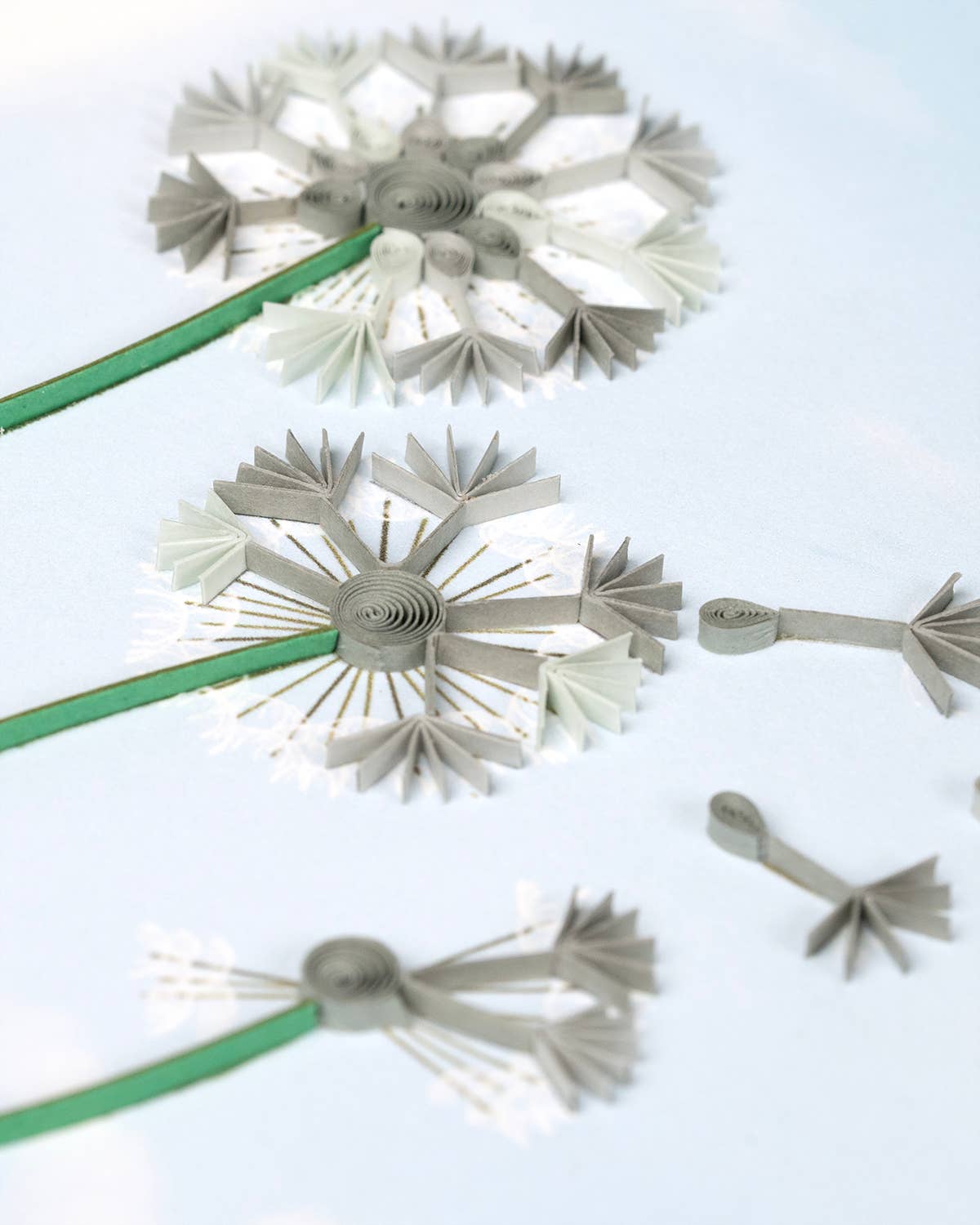 Dandelions